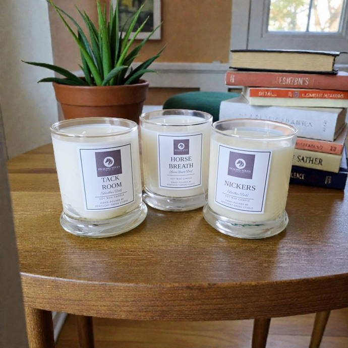 Fundraiser for Healing Souls Ranch